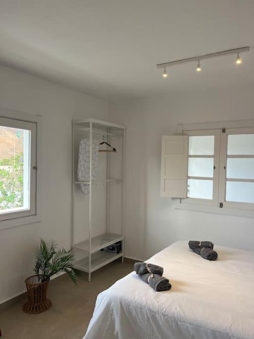 Casa Plaza 2 Apartment Vega de Rio de Palmas Ngoại thất bức ảnh